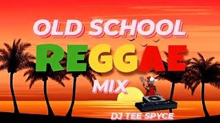 Old School Reggae Juggling | Sanchez, Frankie Paul, Garnett Silk, Freddie McGregor| Reggae Mix 2024