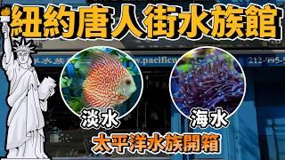 【藍箱水族】藏身紐約唐人街的水族館-太平洋水族~淡海水混合店！熱情店員與老闆的超大反差new york aquarium shop  pacific aquarium！(CC)