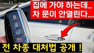 운전자 대부분이 의외로 '이걸' 몰라서 시동을 못 겁니다. 현대 / 기아 / 벤츠 / BMW / 아우디 / 쌍용 / 르노 / 쉐보레