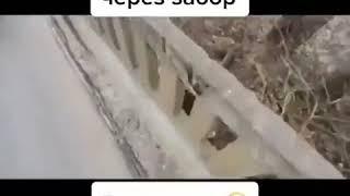 Как перелезть через забор