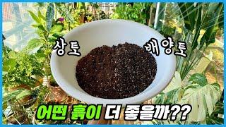 식물키우기 어떤 흙이 더 좋을까요?? 상토VS배양토