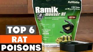 Top 6 Best Rat Poisons in 2024 | The Ultimate Countdown, Reviews & Best Picks!