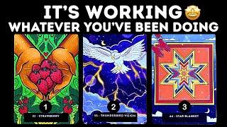 Whatever You've Been Doing IT'S WORKING (big time)!! ⏐PICK A CARD