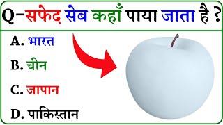GK Question || GK In Hindi || GK Question and Answer || GK Quiz ||
