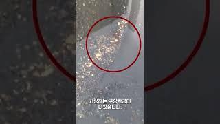 그 많던 신라의 황금들은 어디로 갔을까?
