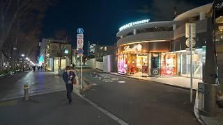 Rambling in night Omotesando, Tokyo, Japan 2025 • 4K HDR