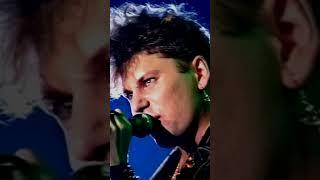Юрий Хой и Ирина Клинских ️  Панки Хой!!! Хой Жив в наших сердцах ️
