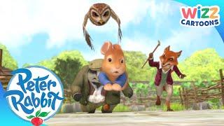 @OfficialPeterRabbit - Great Escapes | Summer Fun! |  Action-Packed Adventures | Wizz Cartoons