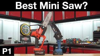 The Best Mini Chainsaw?  For Pruning