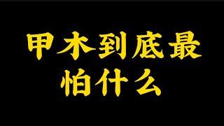 【准提子八字命理】甲木到底最怕什么？