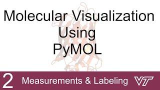 Molecular Modeling Using PyMOL: 2 Measurements and Labeling | Brown Lab