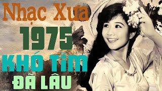 Nhạc Xưa 1975 Khó Tìm Đã Lâu - Nhạc Vàng Xưa Sài Gòn 1975 Nhiều Danh Ca Xưa Hiếm Ai Được Biết