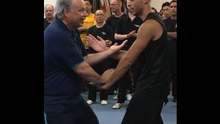 Video - Ving Tsun (Wing Chun) Seminar in Canada #wingchun #kungfu #artesmarciais #brasilia