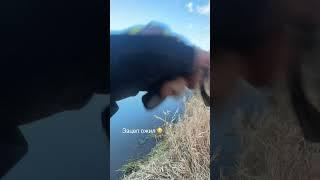 Рыбацкие будни 