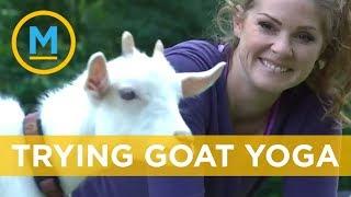 Lindsey does goat yoga! | Your Morning