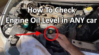 How To Check Engine Oil Level in ANY Car | The DIY Guide | Ep 317