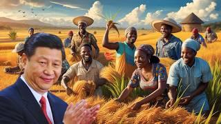 How One Chinese Man Transformed Nigerian Agriculture, Saving 800,000 from Famine