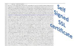 How to create self signed SSL certificate using OpenSSL