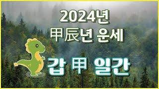 갑진년 2024년 갑목일간 운세