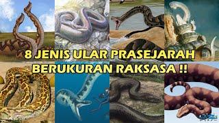 8 Jenis Ular Prasejarah Raksasa selain Titanoboa, lebih BESAR dan lebih PANJANG !!! 