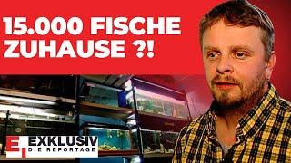 15.000 Fische als Haustiere! - Der Fischwahn nimmt kein Ende | EXKLUSIV - DIE REPORTAGE