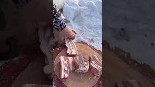 PandaSakha - #friedmeat #-40C️ #жареноемясо #fastandtasty #pandasakha #PandaSakha #short