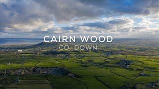 Cairn Wood - 4K Cinematic Footage