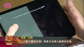 【简单游戏测认知障碍 有助及早预防老人痴呆】