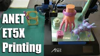 Anet ET5X setup and print quality