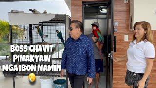 PINAKYAW NI CHAVIT SINGSON ANG IBON NG MURILLO BROS! Showing our bird to boss Chavit! | Murillo Bros