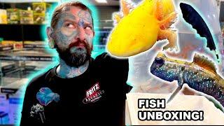 UNBOXING EXOTIC WEIRD FISHES! | Pauls Aquariums