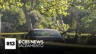 Child injured after car crashes into tree in Sacramento