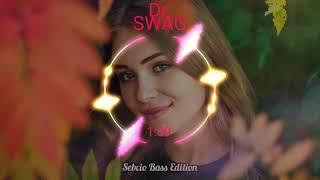 Dr. SWAG-TY MALINA Sebcio Bass Edition