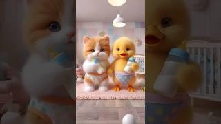 Little kitten and little duck are breastfeeding  shorts #cat #funnycats #funny #catcute