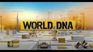 World DNA LIVE: World Latest English News | International News | WION LIVE