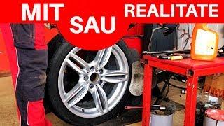 INDREPTAREA JANTELOR! MIT SAU REALITATE? Vlog S2E120