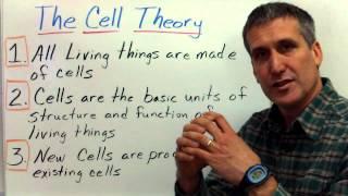 The cell theory and Prokaryotic vs. Eukaryotic cells