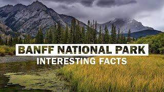 Top 15 Amazing Facts About Banff National Park