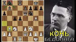 Макс ЭЙВЕ и конь-бедолага Теодора ТЕЙЛОРА  Шахматы