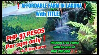 (PROPERTY# 36) 97 PESOS PER SQM FARM LOT FOR SALE WITH SPRING-SAPA IN LAGUNA