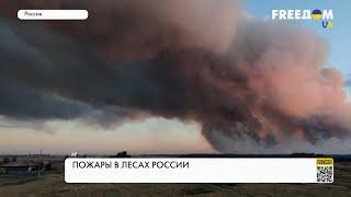 В России горят леса. Подробности