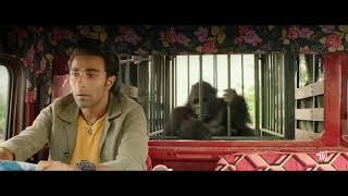 This gorilla can change the tire of a truck | Hello Charlie