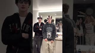 Bunny trend  / Babich TikTok #babich #babitch #tiktok #shorts #video #trending #ytshorts