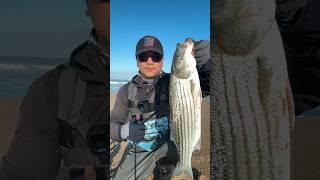 Surf Fishing in California