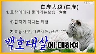 [특강] 277강 백호대살이란 뭘까? 