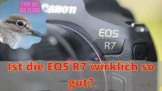 Ist die EOS R7 wirklich so gut?