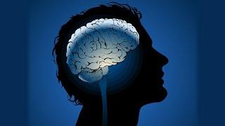 Что у тебя внутри головы? Функции и тайны мозга человека. Интересные факты