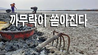 까무락이 쏟아지는 저수지