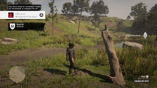 RDR2 - Legend Of The West Platinum trophy 