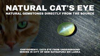 Natural Yellowish Green Chrysoberyl Cats Eye Sri Lanka